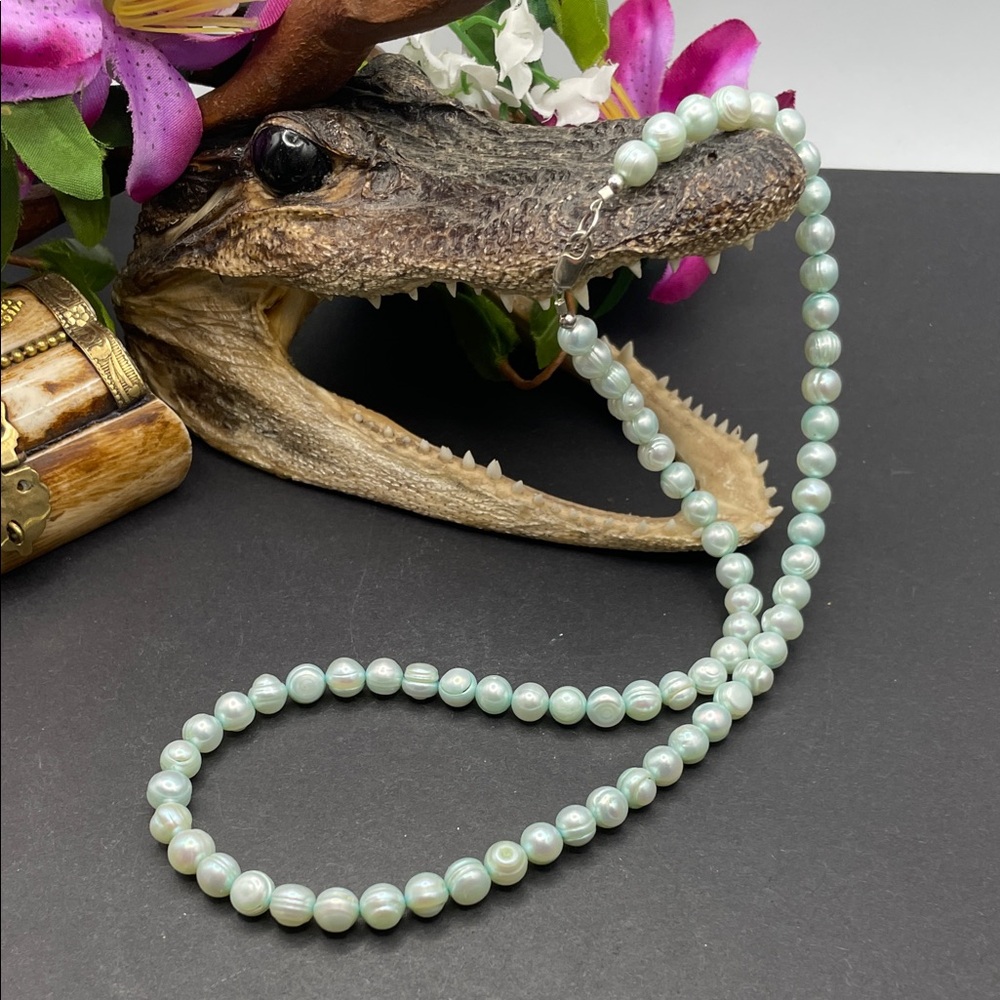 Baby blue dyed freshwater pearls with 925 clasp C23